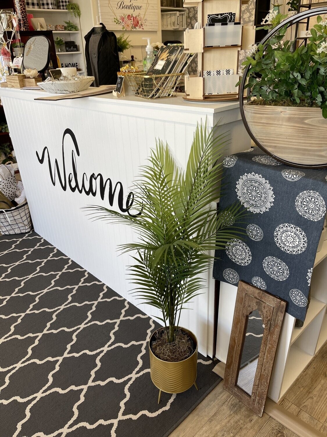 3&#39; Areca Palm Tree