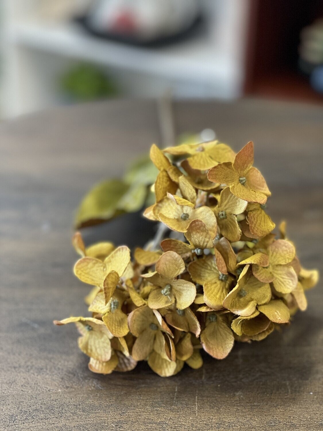 Basil Hydrangea - Dark Tan/Green