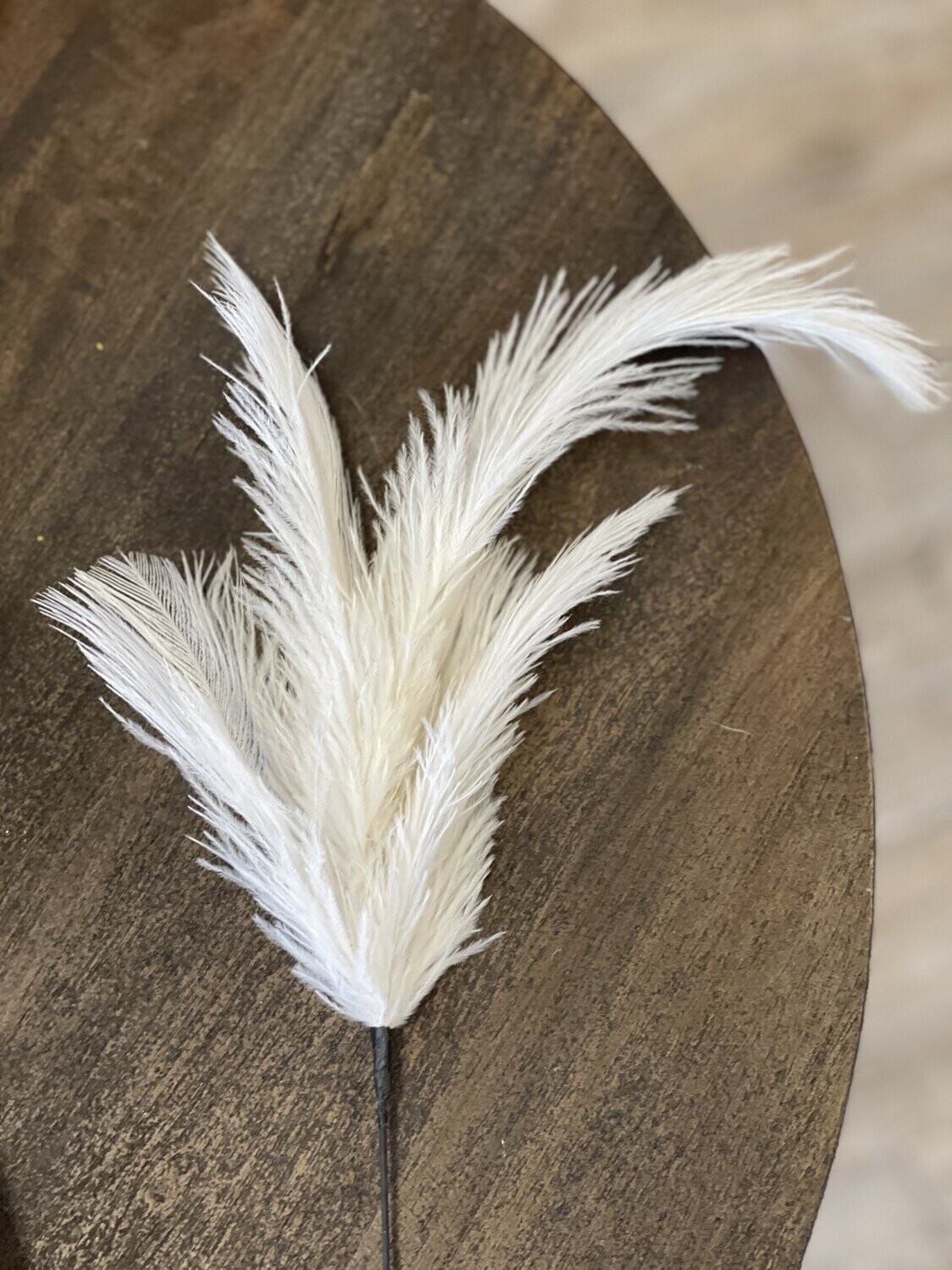14&quot; Delicate Ostrich Feather Spray on Black Stem