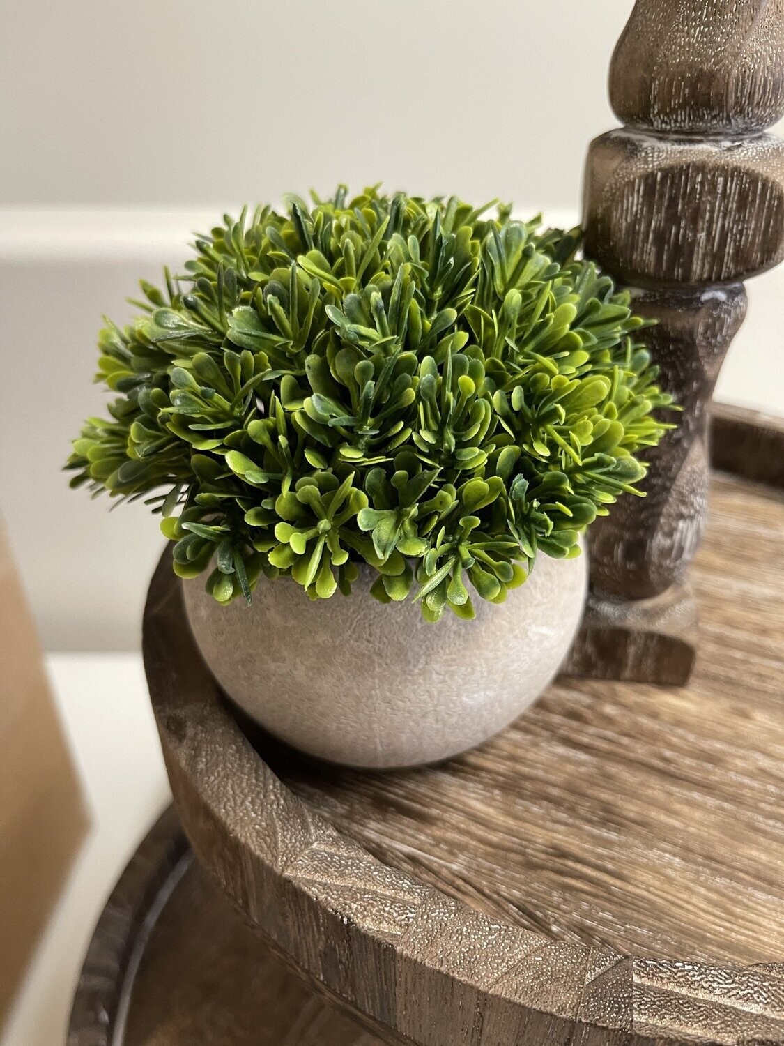 Tray Décor - Stone Pot &amp; Foliage