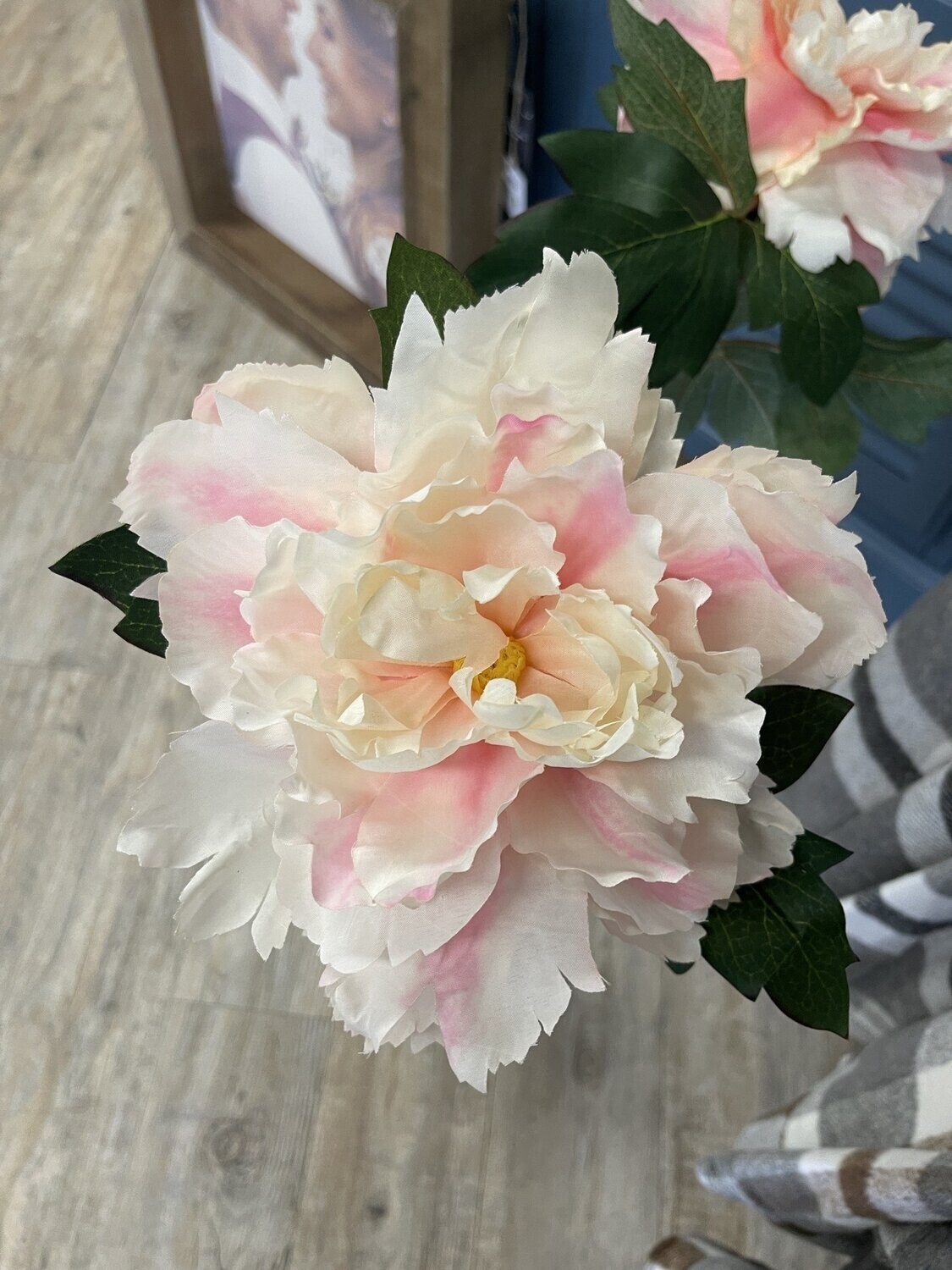 Cream/Pink Peony Stem