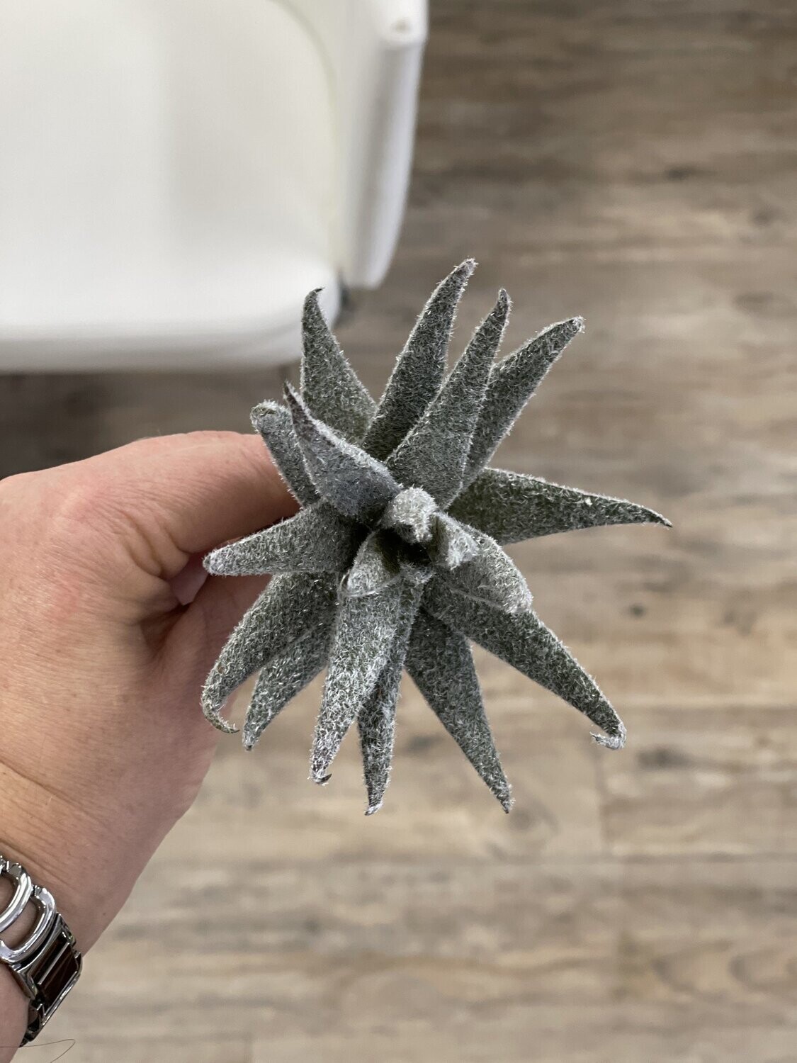 6&quot; Aloe Stem Flocked
