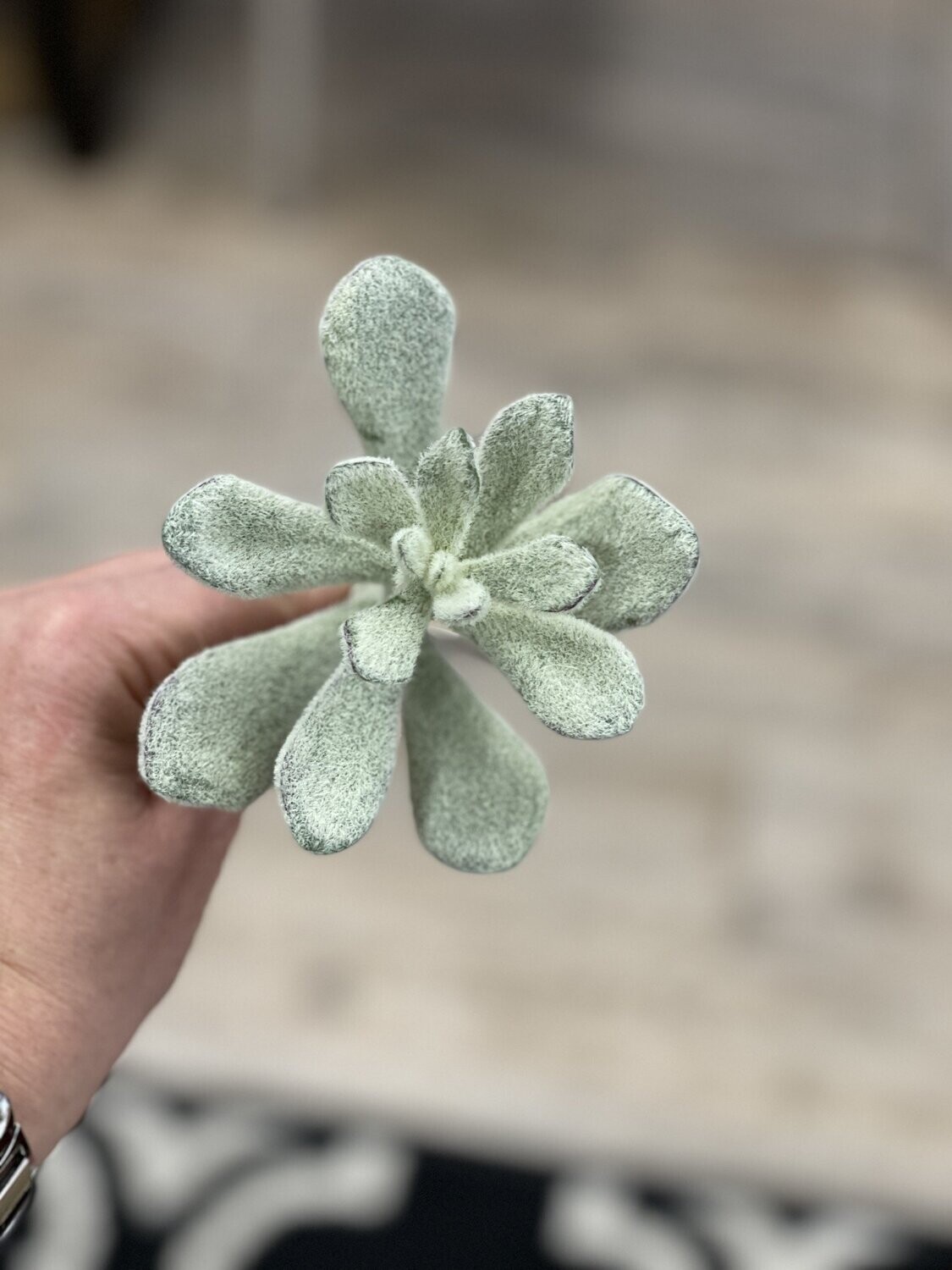 7&quot; Flocked Succulent