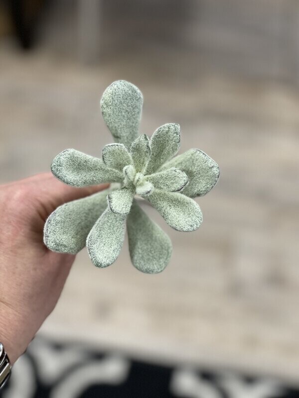 7&quot; Flocked Succulent