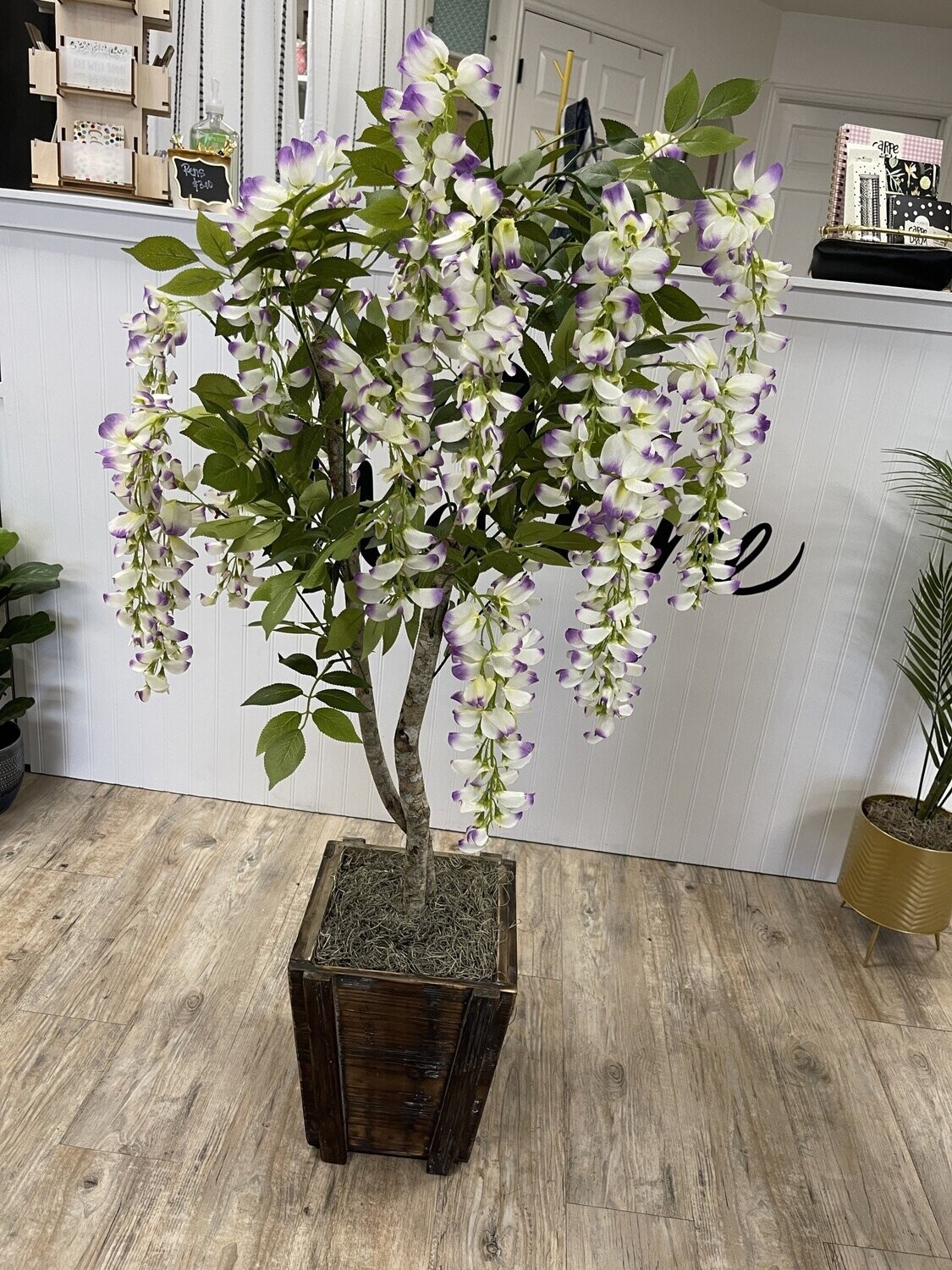 4&#39; Lavender Wisteria in Wooden Planter w/ Rope Handle USA MADE