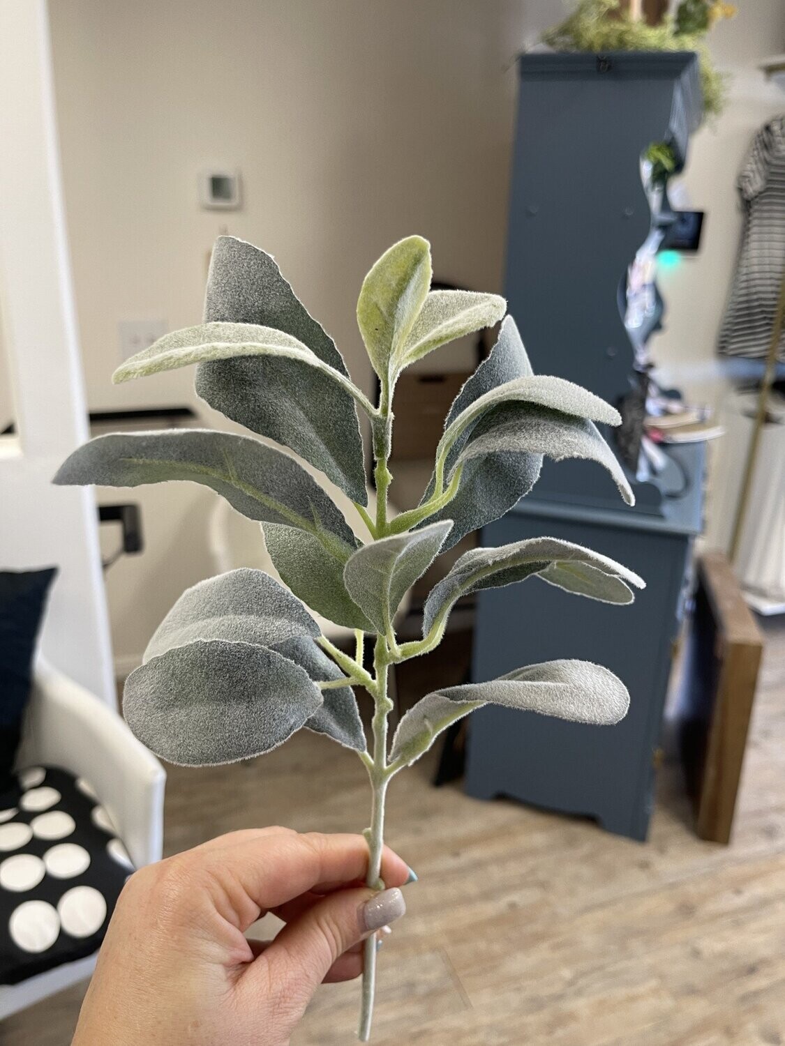 Frosted Lamb&#39;s Ear Stems