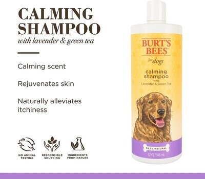 Burt&#39;s Bees Calming Shampoo 16 oz
