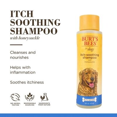 Burt&#39;s Bees Itch-Soothing Shampoo 16 oz