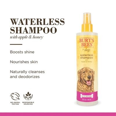 Burt&#39;s Bees Apple &amp; Honey Waterless Shampoo 10 oz