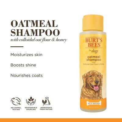 Burt&#39;s Bees Oatmeal Shampoo 16 oz