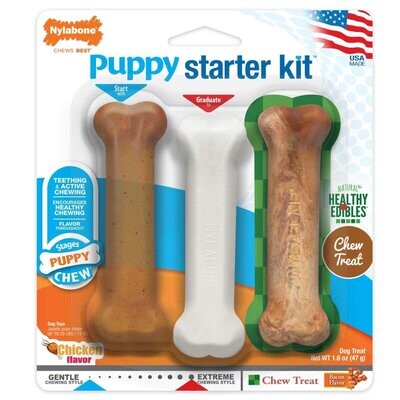 Nylabone Puppy Starter Kit Regular