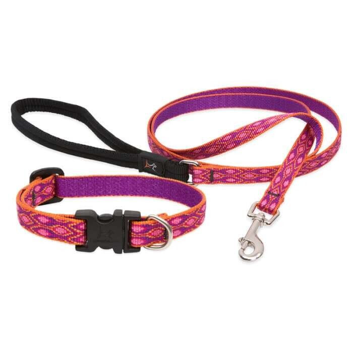 Lupine 1/2" Alpen Glow 6ft Leash