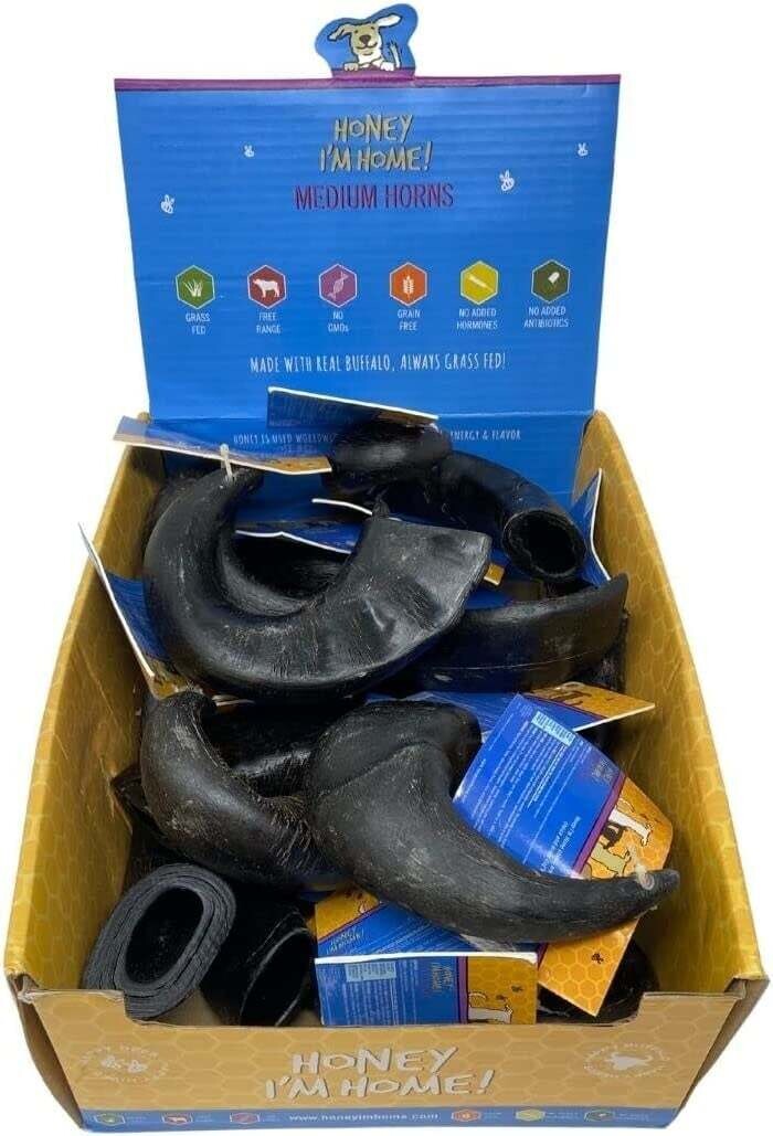 Honey I&#39;m Home Water Buffalo Horn Large Box of 10