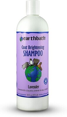 Earthbath Shampoo Coat Brightening Lavender 16 oz