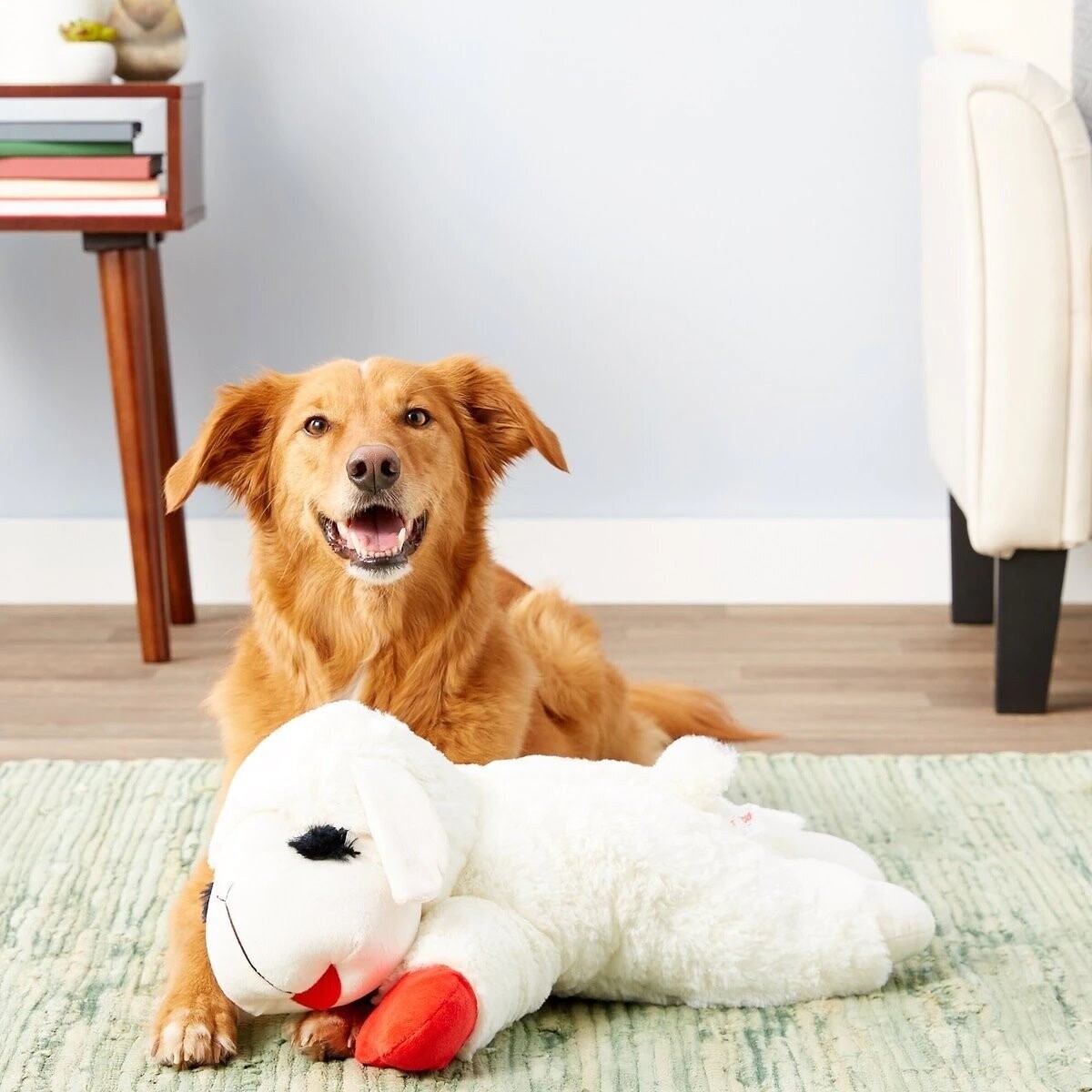 Multipet Jumbo Lamb Chop 24 inches