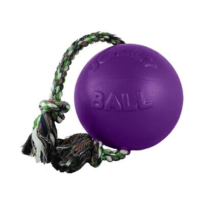 Jolly Pets Romp N Roll Purple 8&quot;