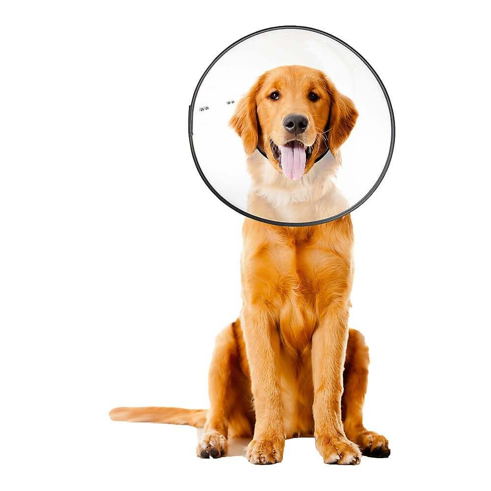 ZenPet E-Clear Collar Large