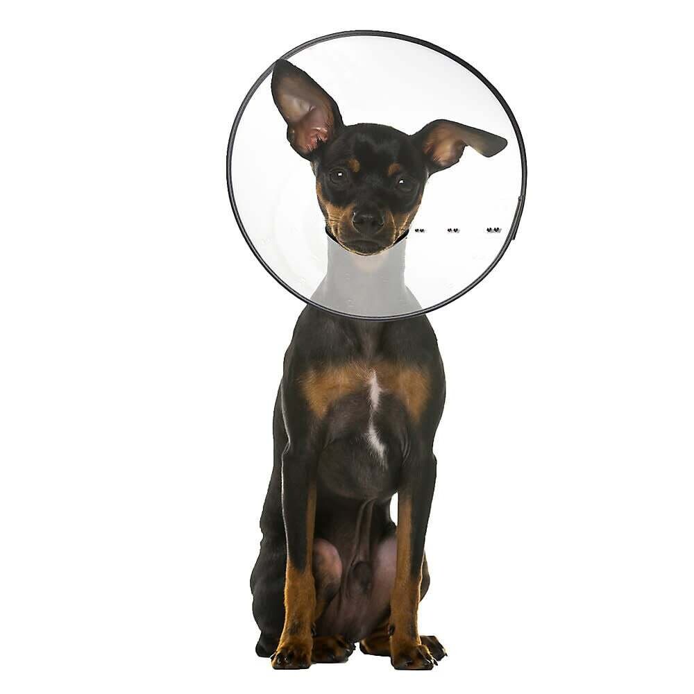 ZenPet E-Clear Collar Small
