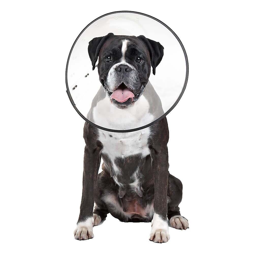 ZenPet E-Clear Collar XL