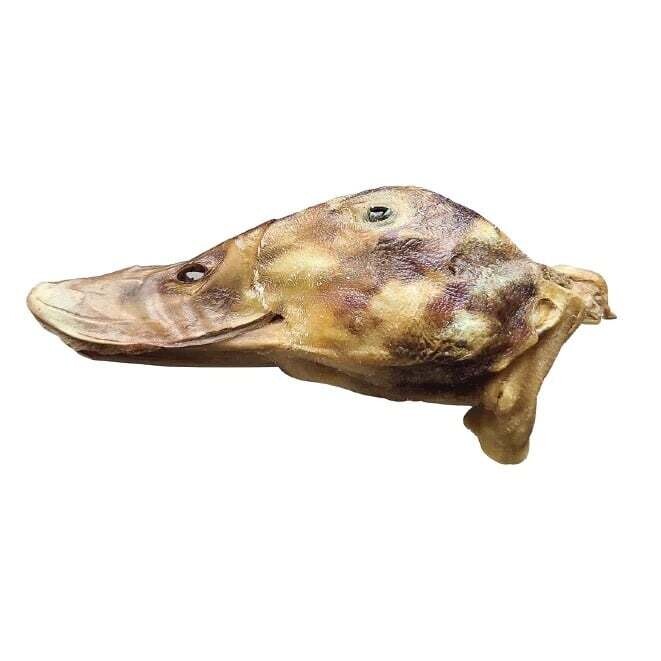 Duck Heads