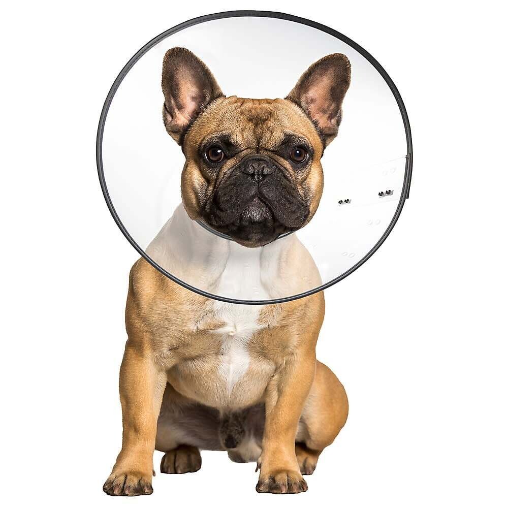 ZenPet E-Clear Collar Medium