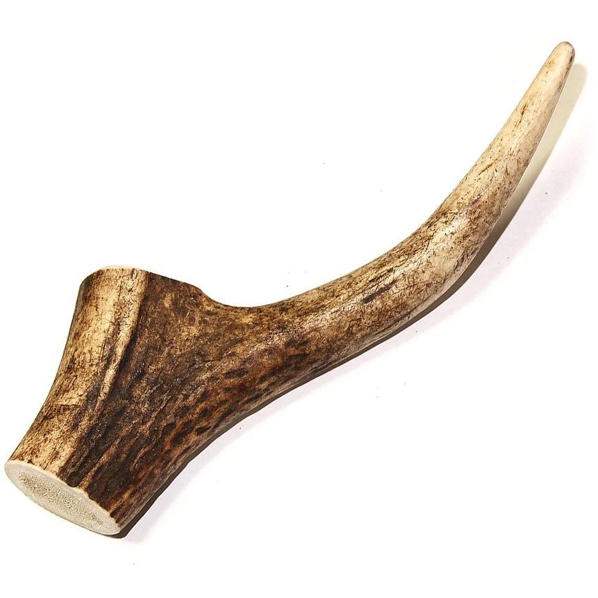 Tuesday&#39;s Natural Dog Company Royal Brown Deer Antler Small Whole