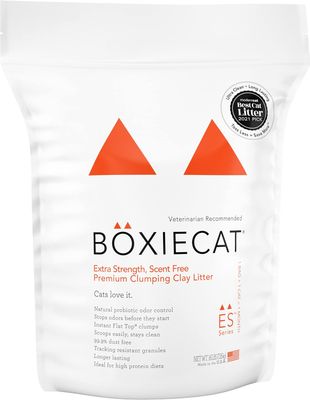 BoxieCat Extra Strength Scent Free Premium Clumping Clay Litter 16 lbs