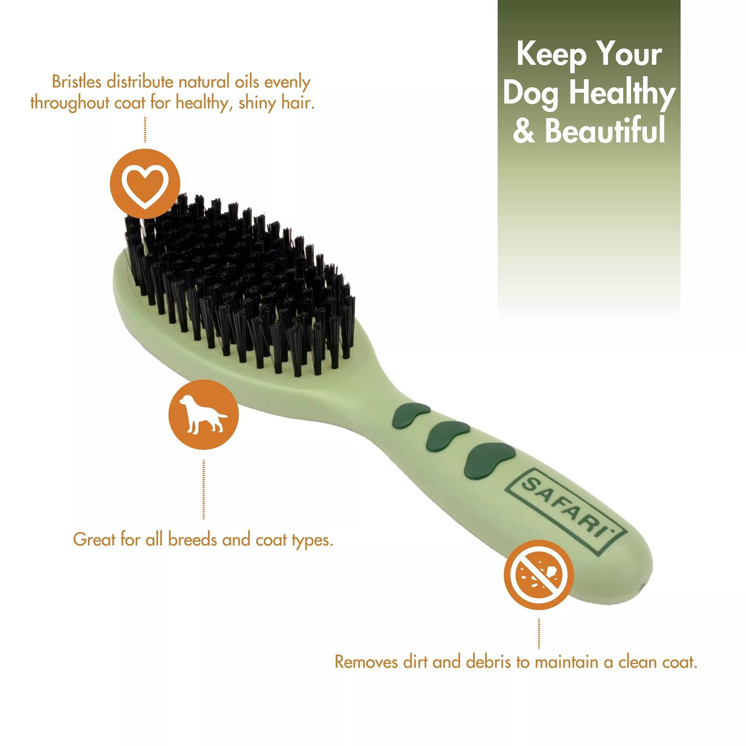 Safari by Coastal Bristle Dog Brush LARGE 9&quot; L x 2.625&quot; W