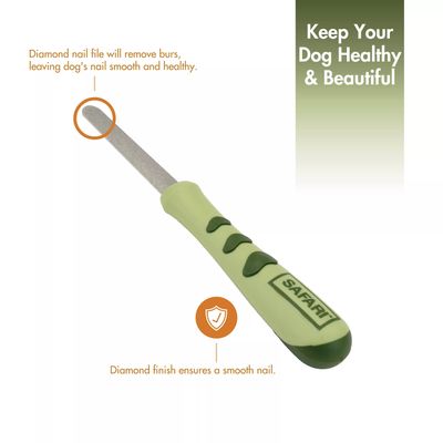 Safari by Coastal Dog Diamond Nail File ONE SIZE 9.25&quot; L