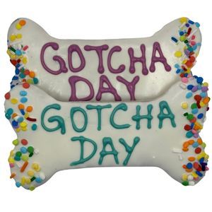 Preppy Puppy Gotcha Day Bone Big Biscuit Dog Treat