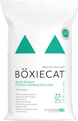 Boxie Cat Gently Scented Premium Clumping Clay Litter 40 lbs