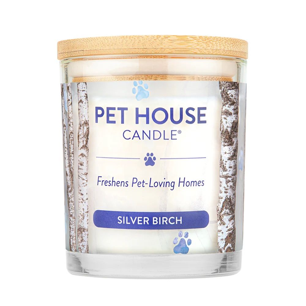 Pet House All Natural Pet Friendly Plant Based Soy Wax Candle Silver Birch Scented 9 oz