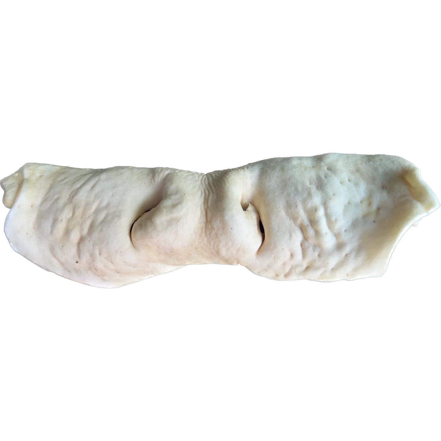 Raw Dog Cow Snout Case of 30