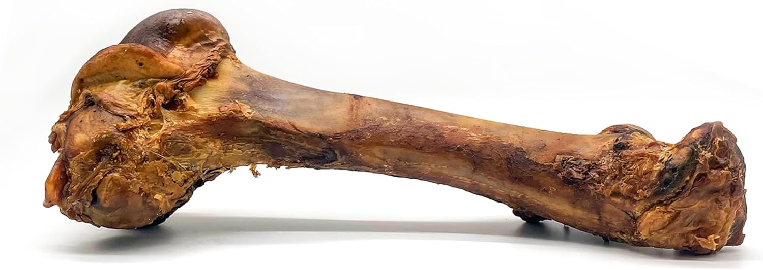 Raw Dog 14-18&quot; Monster Beef Femur (Shrink-Wrapped) single