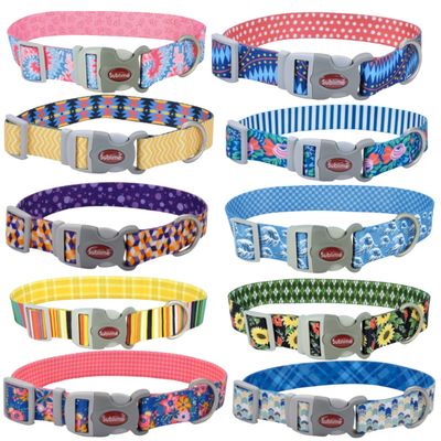 Collars, Leads, &amp; Harnesses