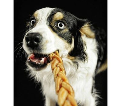 Dog Chews