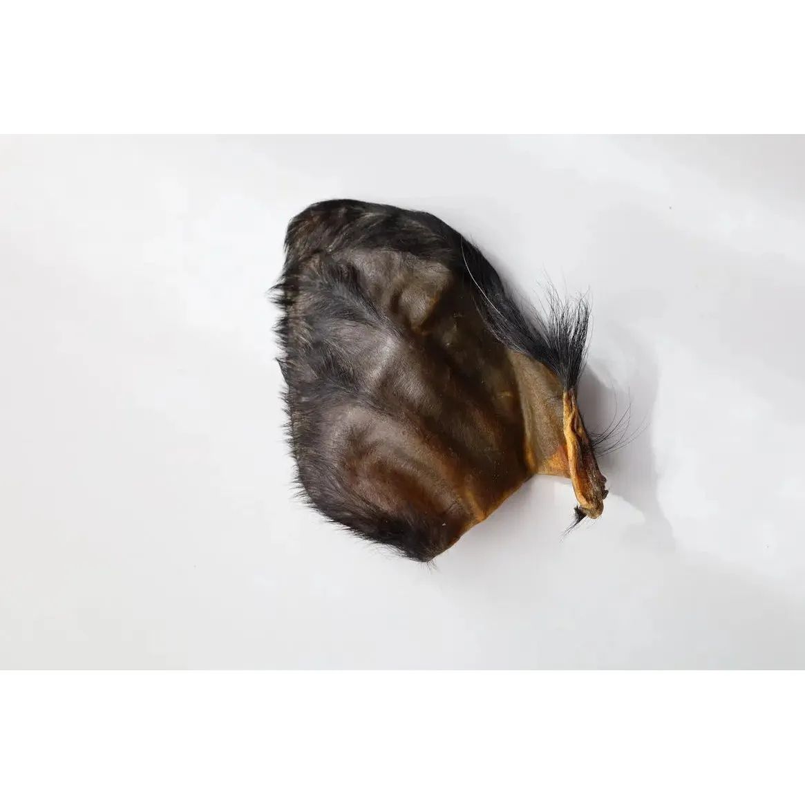 QT Dog Water Buffalo Ears with Hair Dog Chews single