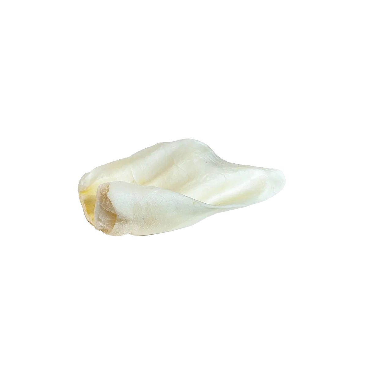Home Range Cow Ears single