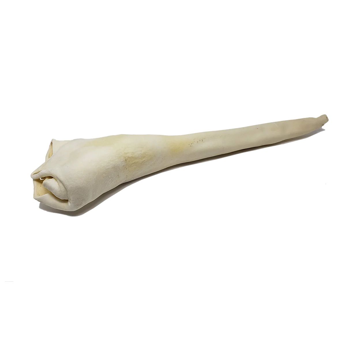 Home Range Bull Tail Full Length Dog Chew single