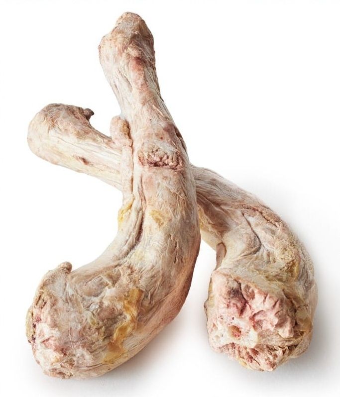 Northwest Naturals Freeze Dried Turkey Necks single