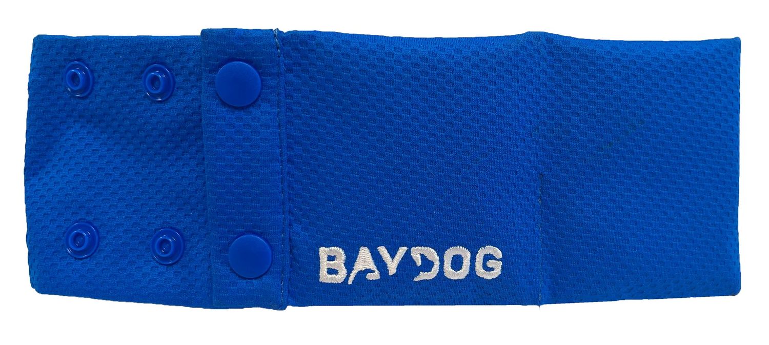 BayDog Arctic Cooling Collar Blue Extra Large