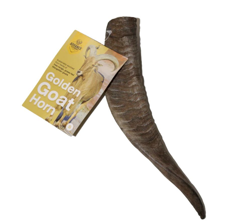 Advance Pet Product Golden Goat Horn with Natural Marrow Small