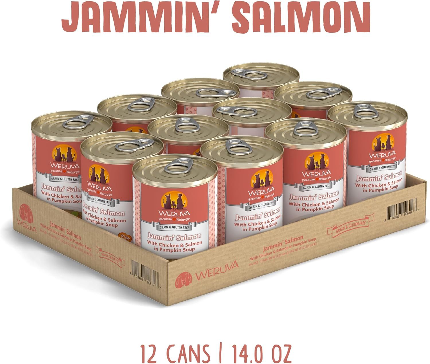 Weruva Jammin&#39; Salmon with Chicken &amp; Salmon in Pumpkin Soup Grain-Free Dog Food 14 oz Case of 12