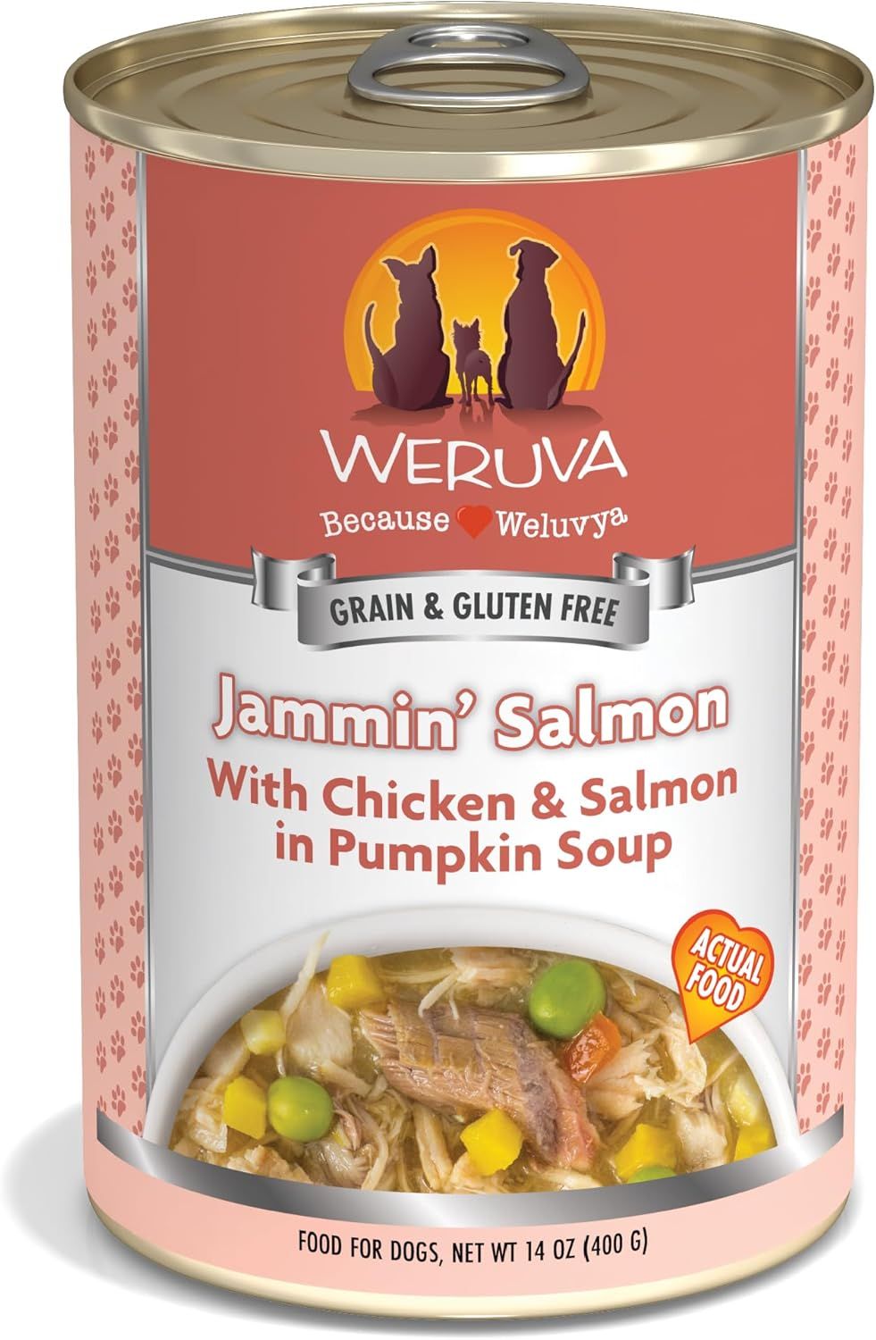 Weruva Jammin&#39; Salmon with Chicken &amp; Salmon in Pumpkin Soup Grain-Free Dog Food 14 oz