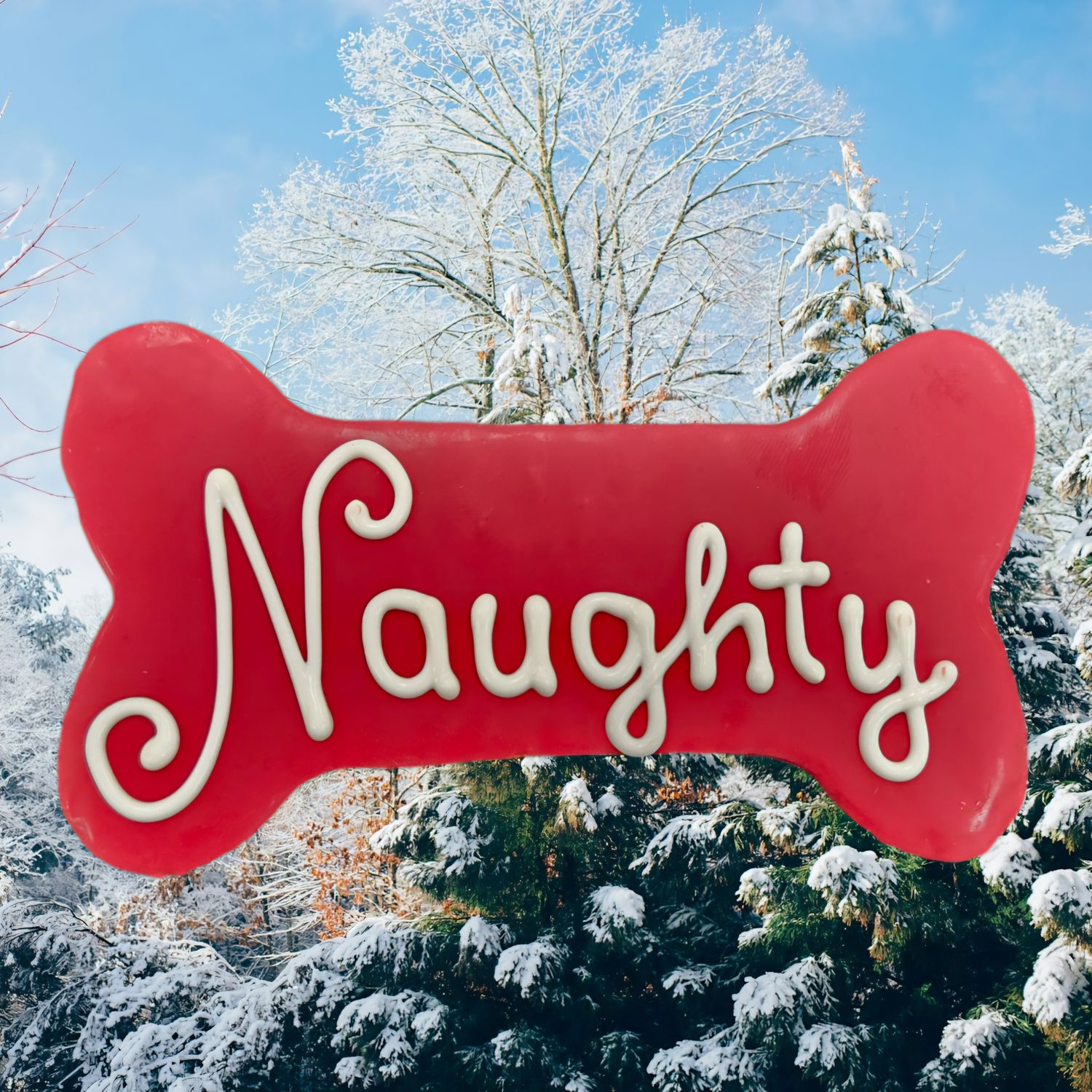Preppy Puppy Naughty Bone Christmas Cookie Dog Treat