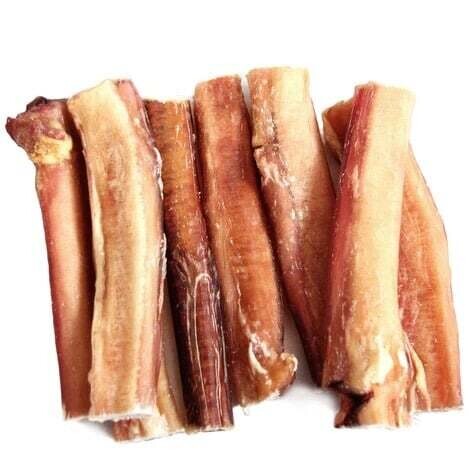 Tuesday's Natural Odor Free Jumbo Bully Sticks Dog Chew 6 inches
