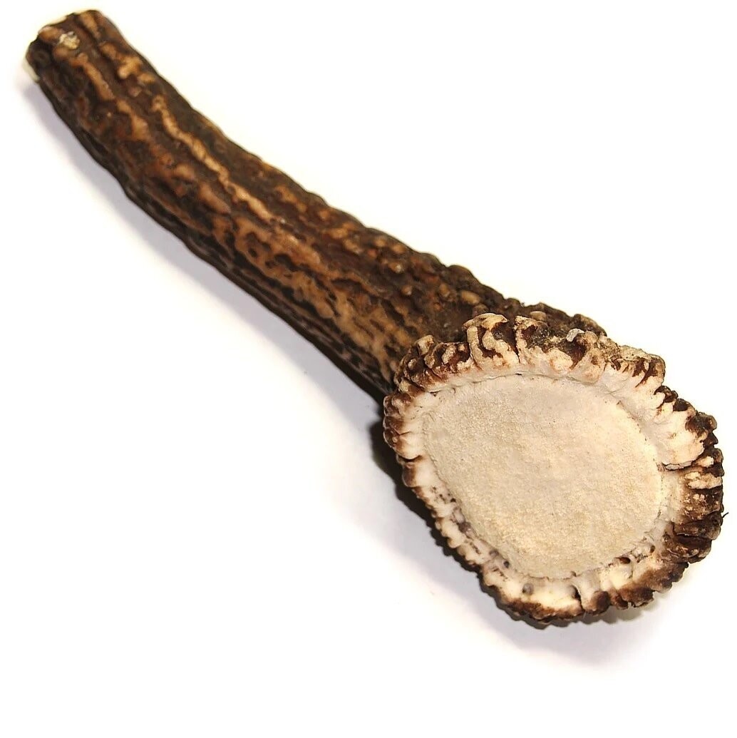 Tuesday's Natural Royal Brown Deer Antler Dog Chew - Large Whole