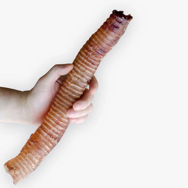 Raw Dog Natural Chews Beef Trachea 12 inches
