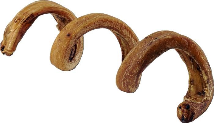 Raw Dog Bully Spring (Low-Odor) Dog Chews 6-8 inches