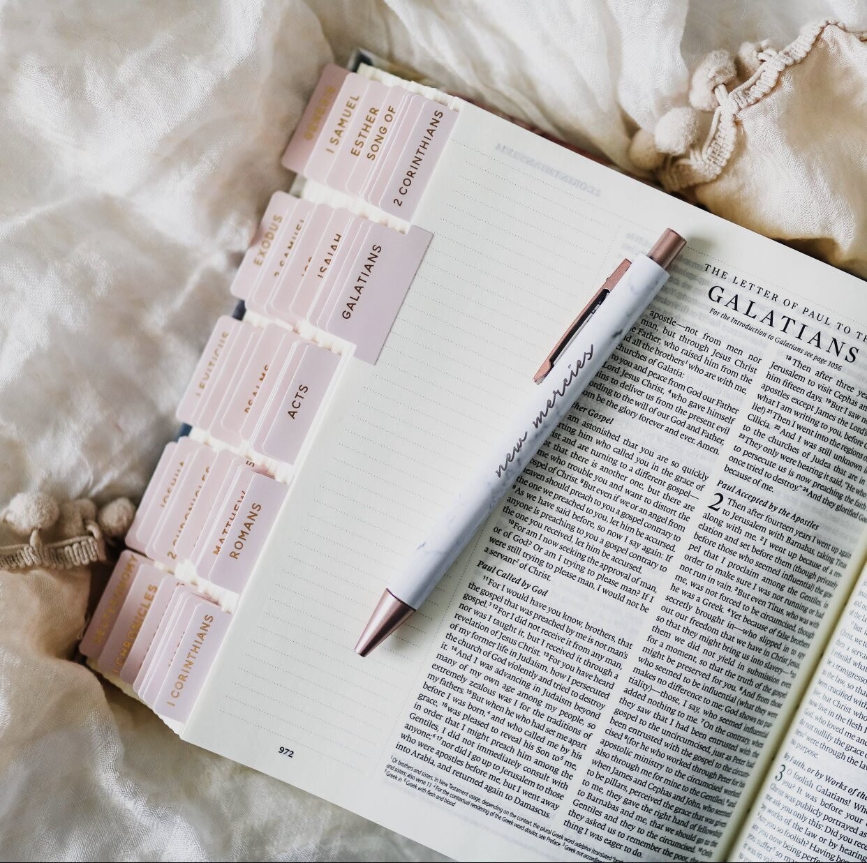 Daily Grace Co Bible Tabs